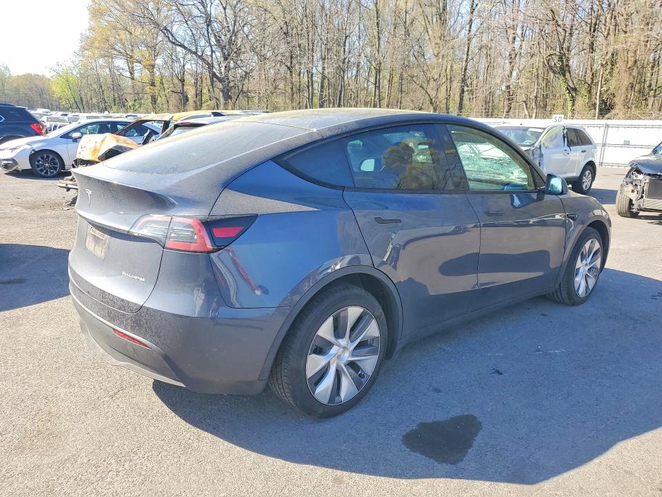 Продажа на аукционе авто 2023 Tesla Model Y, vin: 7SAYGDEE3PA036061, номер лота: 49646976
