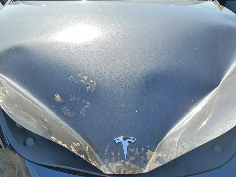 Продаж на аукціоні авто 2025 Tesla Model Y, vin: 7SAYGDEF1SF298486, номер лоту: 49116196