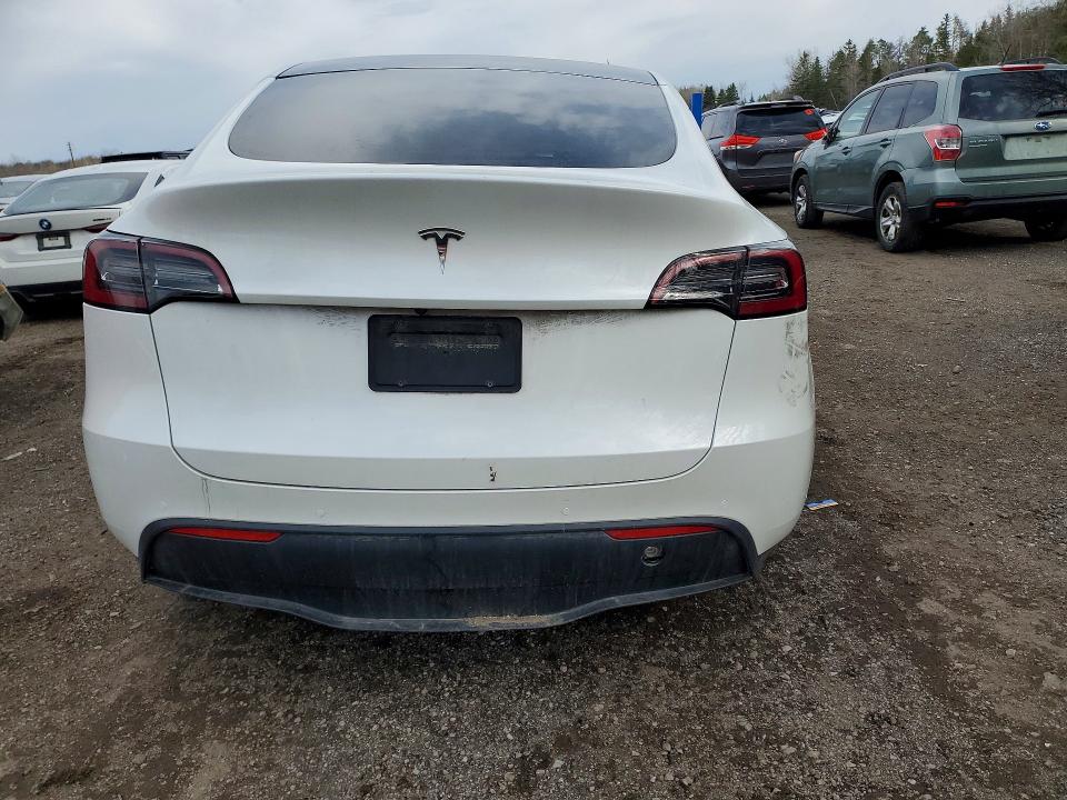 50384086 :رقم المزاد ، 7SAYGDEE6NF428502 vin ، 2022 Tesla Model Y مزاد بيع