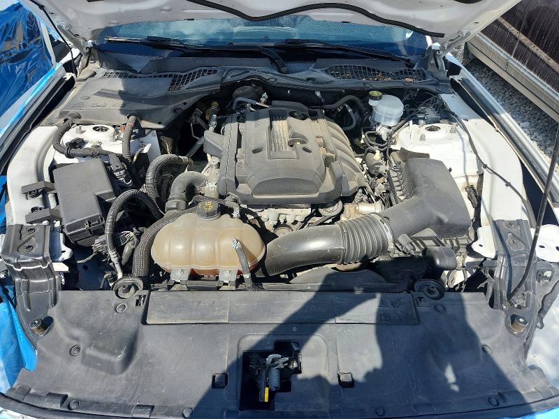 Aukcja sprzedaży 2019 Ford Mustang, vin: 1FA6P8TH1K5185631, numer aukcji: 49010656