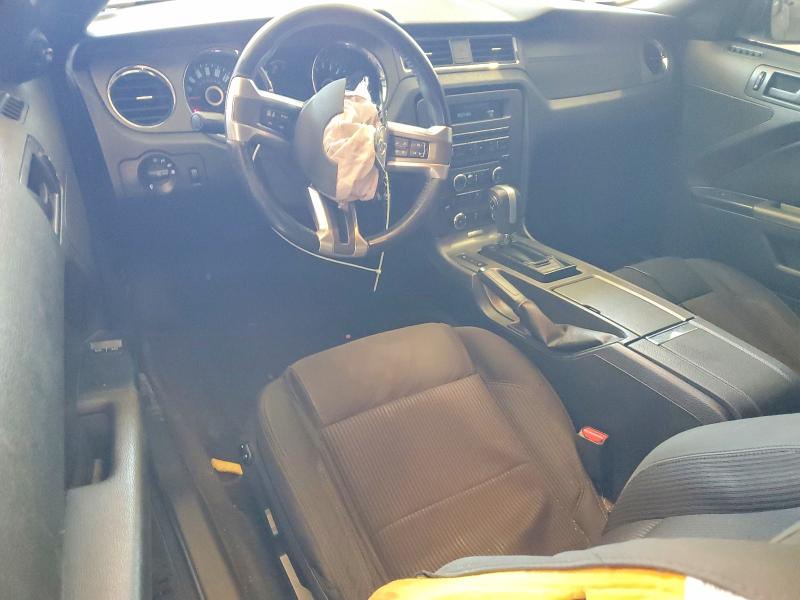 Продаж на аукціоні авто 2014 Ford Mustang, vin: 1ZVBP8AM9E5204081, номер лоту: 49575096