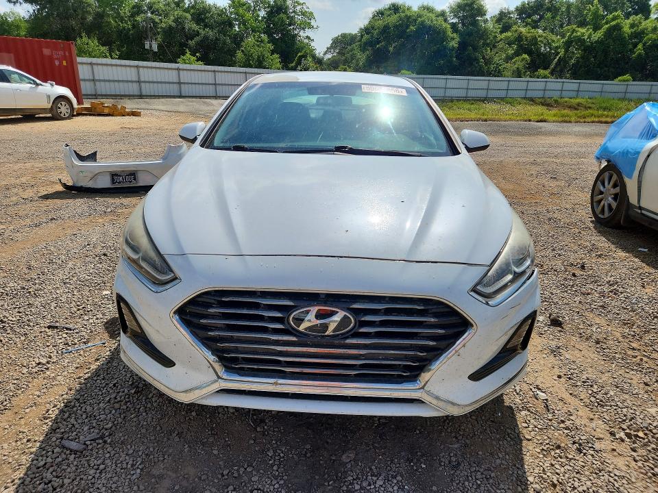Продаж на аукціоні авто 2019 Hyundai Sonata, vin: 5NPE24AF5KH738070, номер лоту: 50819666