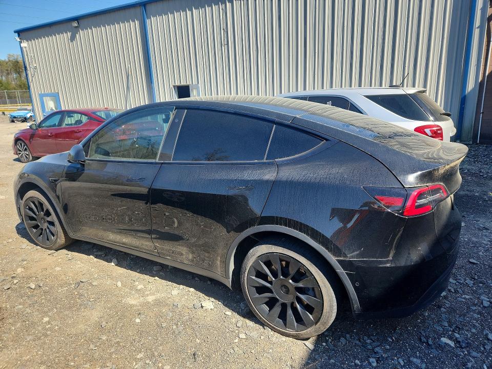 49056546 :رقم المزاد ، 5YJYGDED8MF132724 vin ، 2021 Tesla Model Y مزاد بيع