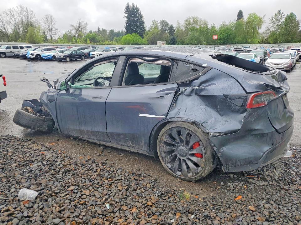Продаж на аукціоні авто 2022 Tesla Model Y, vin: 7SAYGDEF3NF346073, номер лоту: 50608156