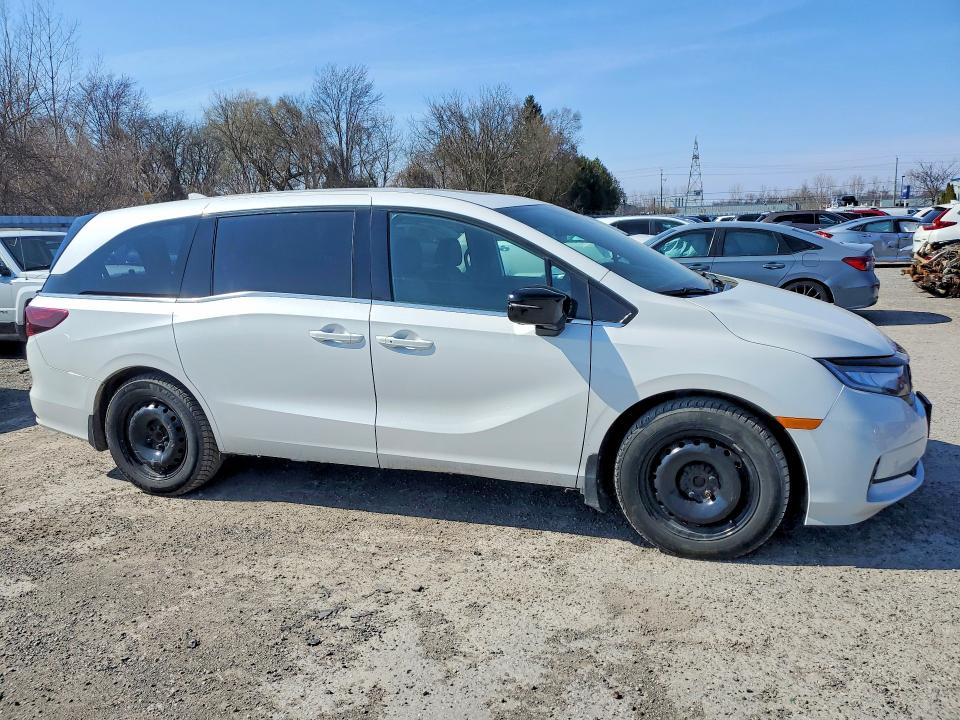 Auction sale of the 2023 Honda Odyssey, vin: 5FNRL6H09PB503110, lot number: 47601396