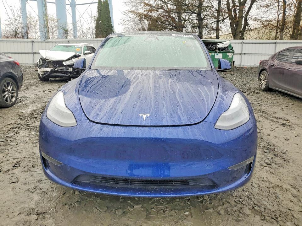 Продаж на аукціоні авто 2023 Tesla Model Y, vin: 7SAYGDEE9PA171559, номер лоту: 48653236