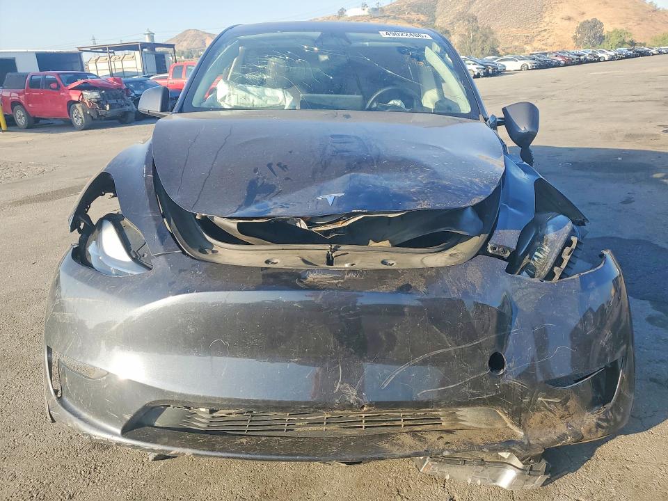 Продаж на аукціоні авто 2024 Tesla Model Y, vin: 7SAYGDEF8RF087408, номер лоту: 49022486