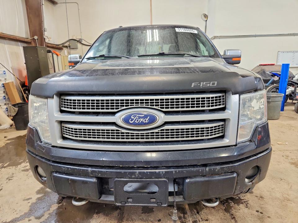 Продажа на аукционе авто 2010 Ford F150, vin: 1FTFW1EV0AFA20038, номер лота: 51180026