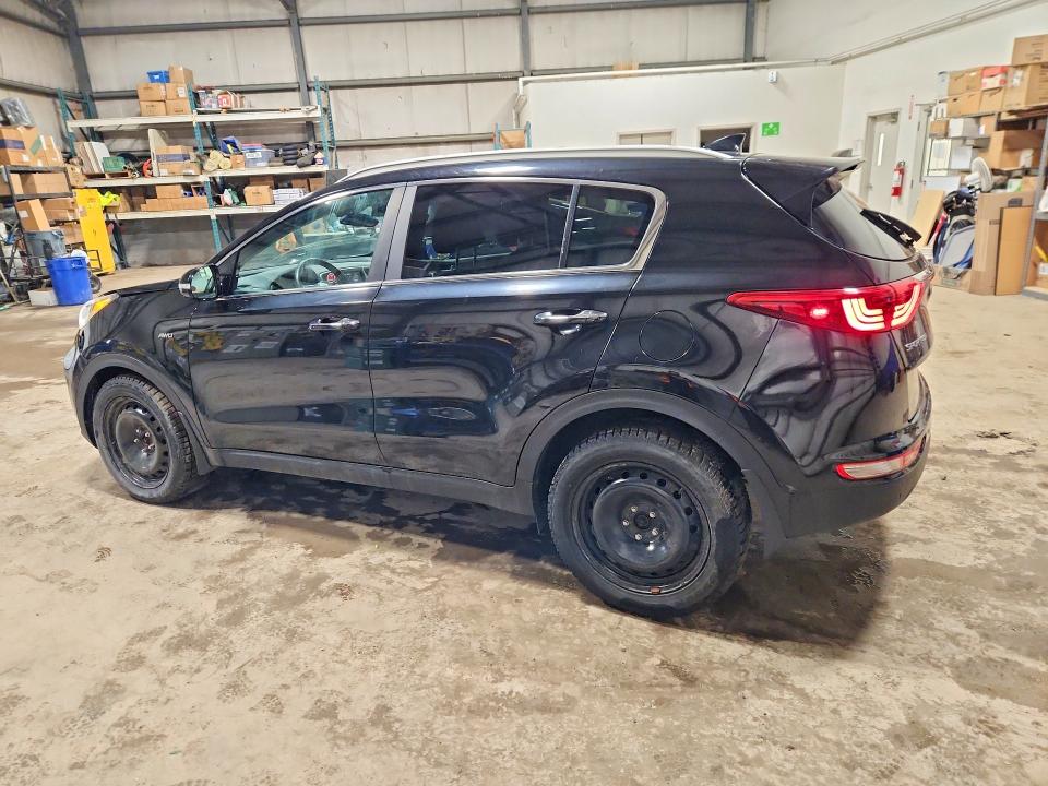 Продаж на аукціоні авто 2017 Kia Sportage, vin: KNDPNCAC7H7201178, номер лоту: 45607756