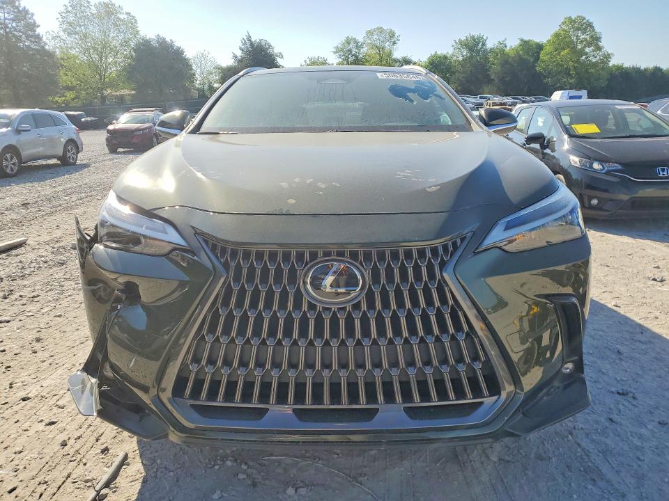Продаж на аукціоні авто 2024 Lexus Nx 350h, vin: 2T2AKCEZ6RC022669, номер лоту: 50635646