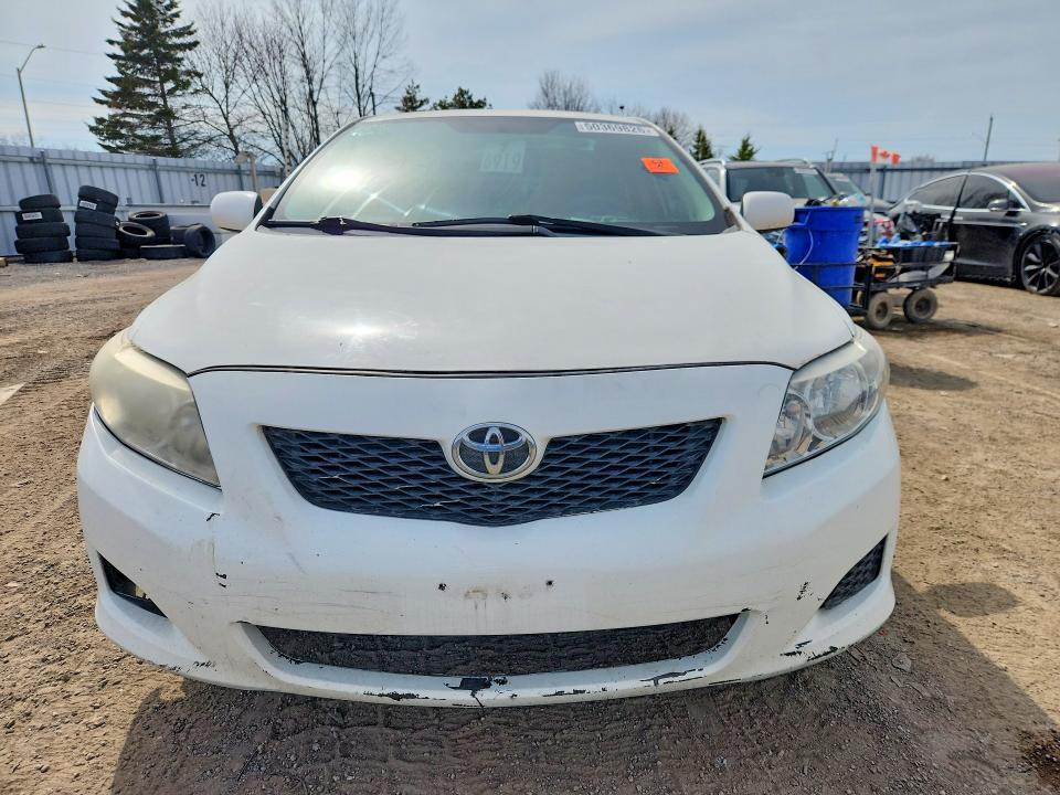 50369826 :رقم المزاد ، 2T1BU4EE7AC231459 vin ، 2010 Toyota Corolla مزاد بيع