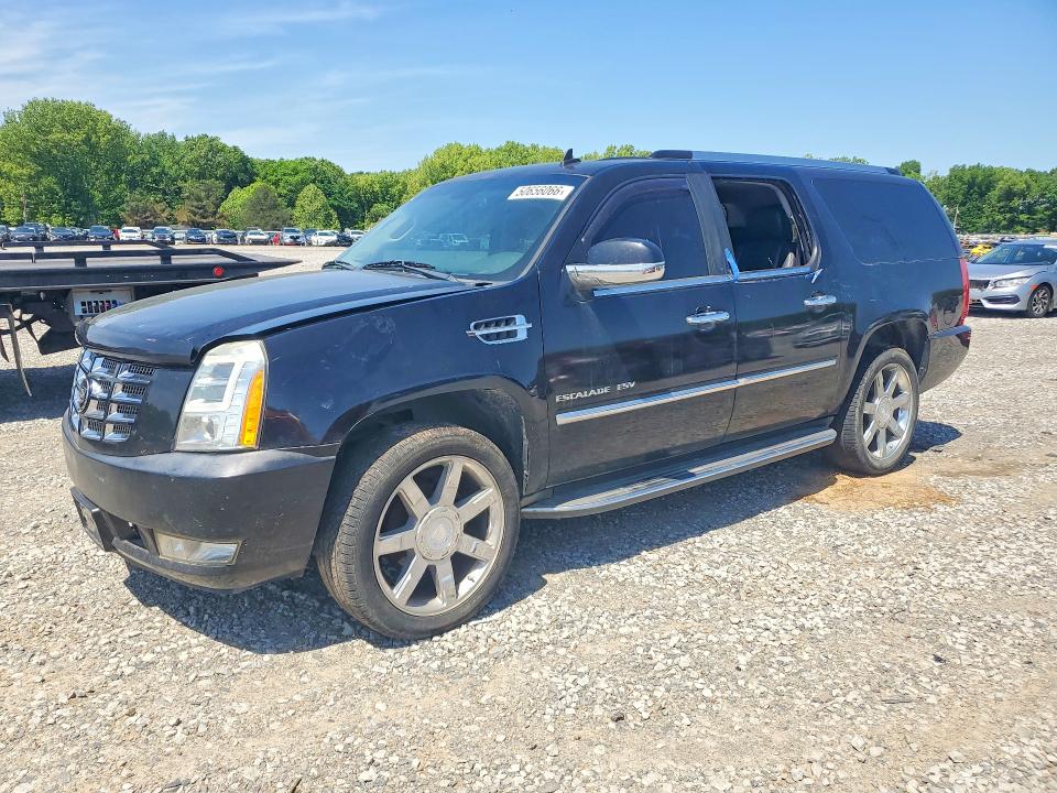 50656066 :رقم المزاد ، 1GYS4GEF0BR242220 vin ، 2011 Cadillac Escalade مزاد بيع