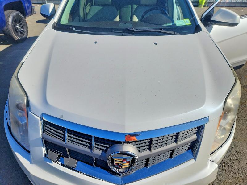 Продаж на аукціоні авто 2012 Cadillac Srx, vin: 3GYFNAE33CS599276, номер лоту: 49549696