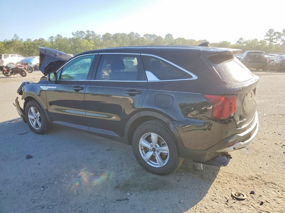 Aukcja sprzedaży 2026 Kia Sorento, vin: 5XYRG4JC5TG439132, numer aukcji: 49808026
