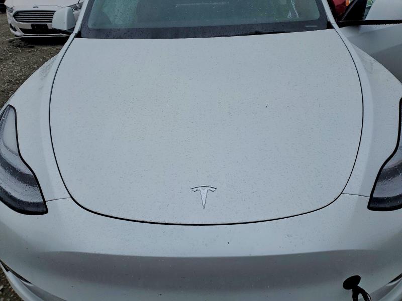 51280816 :رقم المزاد ، 5YJYGDEE5MF097486 vin ، 2021 Tesla Model Y مزاد بيع