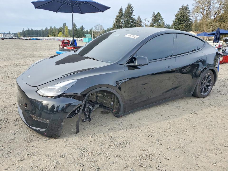 Aukcja sprzedaży 2025 Tesla Model Y, vin: 7SAYGAEE2SF239064, numer aukcji: 50519046