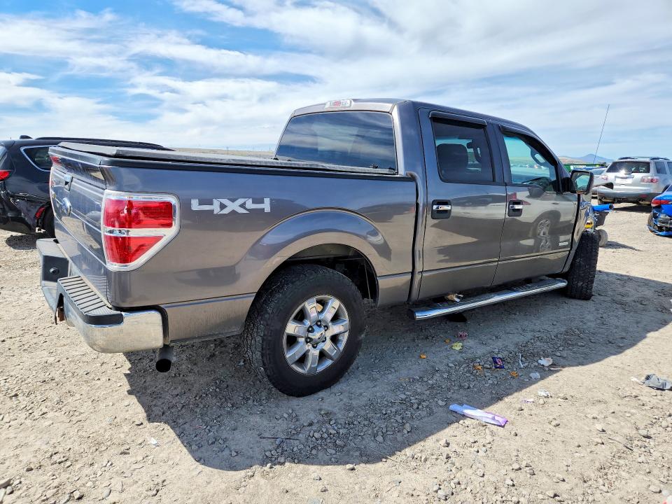 48974566 :رقم المزاد ، 1FTFW1ET8EKD55155 vin ، 2014 Ford F150 مزاد بيع