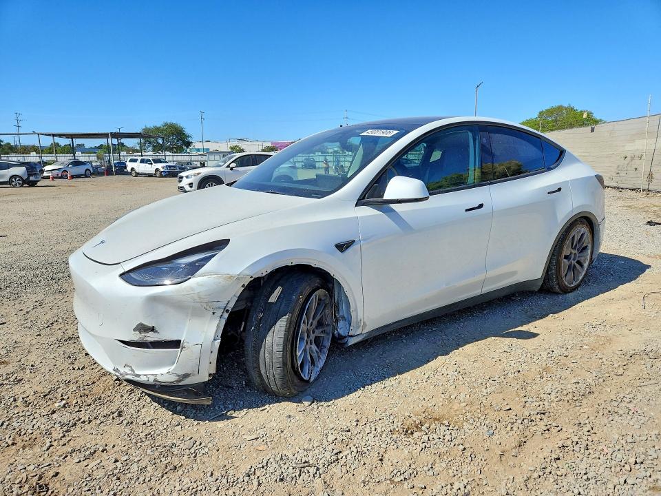 Продажа на аукционе авто 2024 Tesla Model Y, vin: 7SAYGDED0RF118813, номер лота: 49081906
