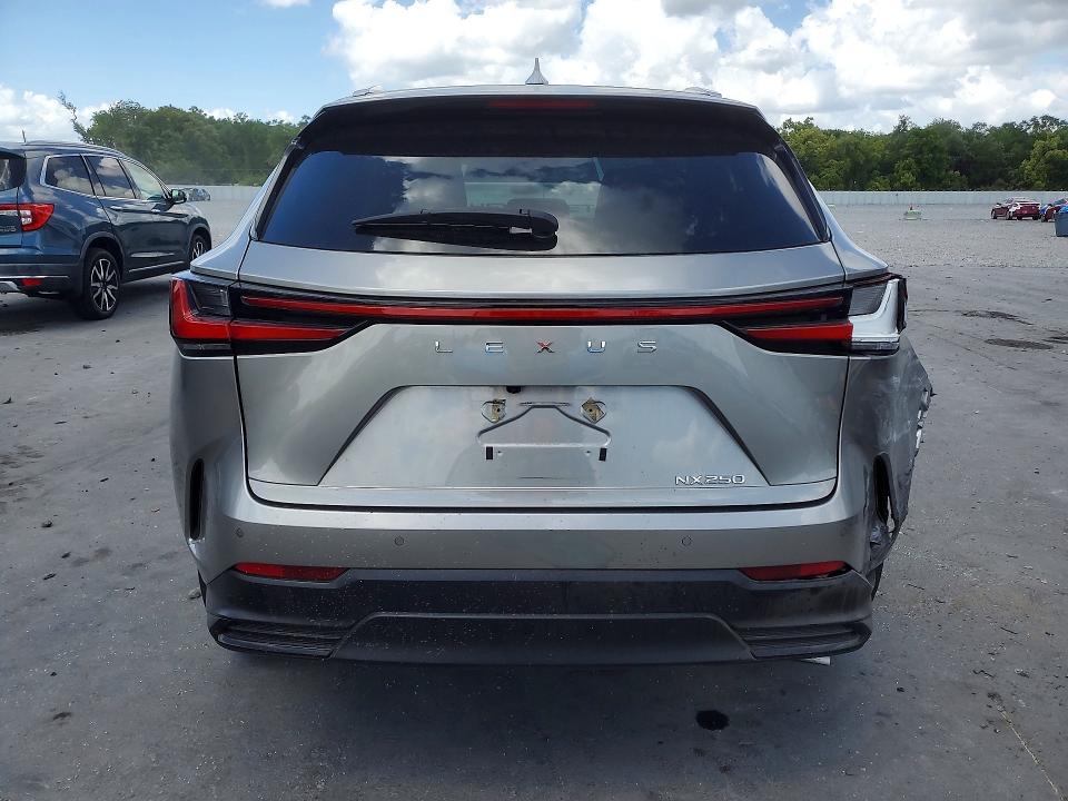 47540236 :رقم المزاد ، 2T2GDCAZ1RC011010 vin ، 2024 Lexus Nx 250 مزاد بيع