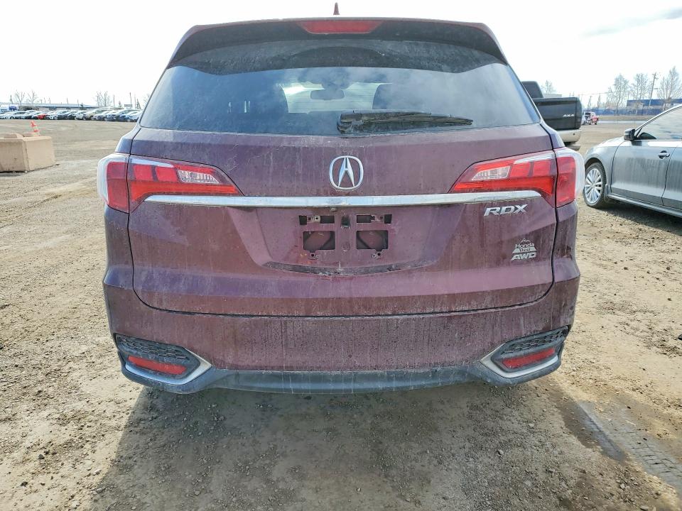 51764186 :رقم المزاد ، 5J8TB4H53HL804934 vin ، 2017 Acura Rdx مزاد بيع