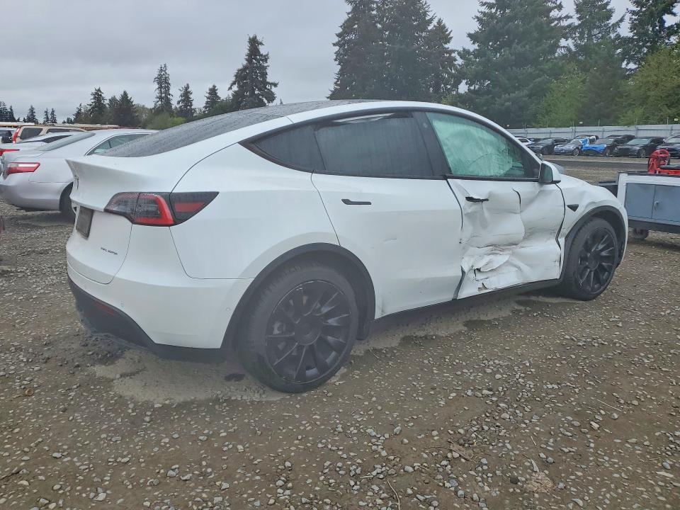 51280816 :رقم المزاد ، 5YJYGDEE5MF097486 vin ، 2021 Tesla Model Y مزاد بيع