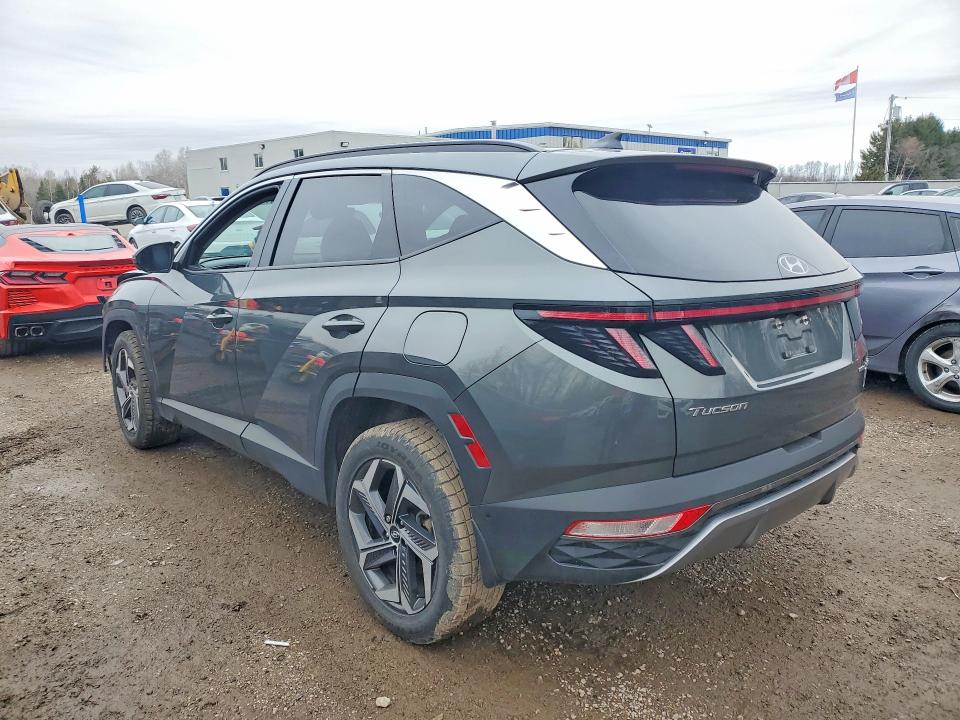 Продажа на аукционе авто 2023 Hyundai Tucson, vin: KM8JCCA15PU114319, номер лота: 48586576