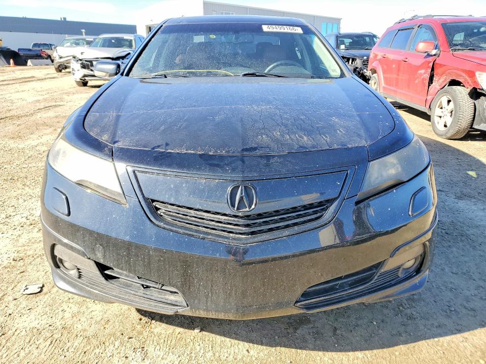 Продаж на аукціоні авто 2013 Acura Tl, vin: 19UUA9F53DA800878, номер лоту: 49499166