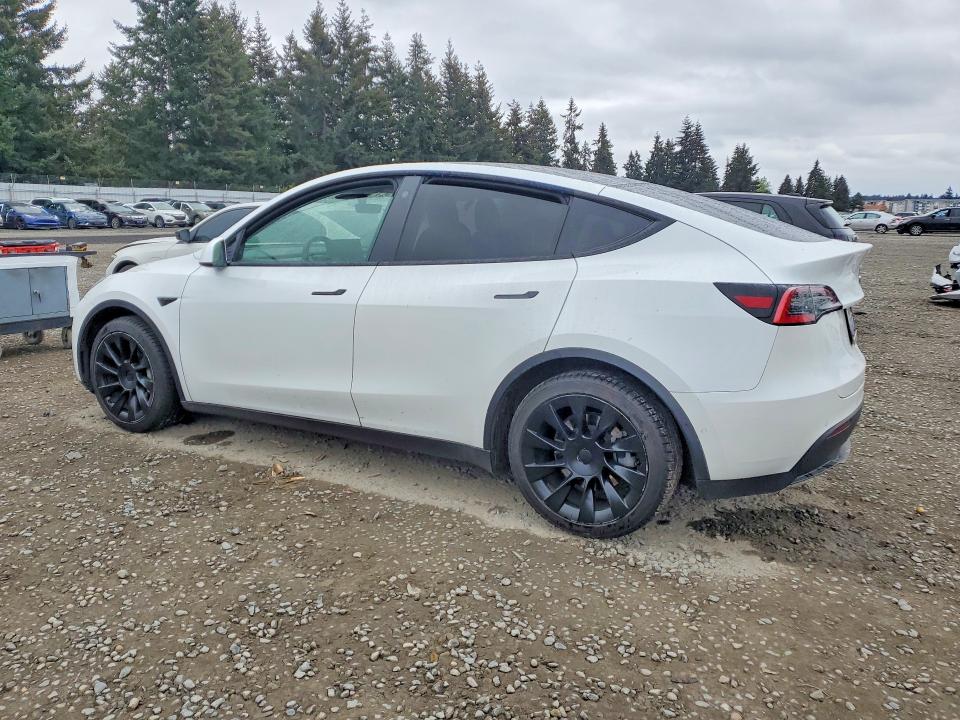 51280816 :رقم المزاد ، 5YJYGDEE5MF097486 vin ، 2021 Tesla Model Y مزاد بيع