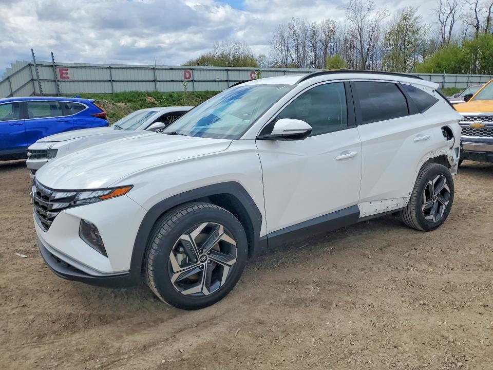 49854286 :رقم المزاد ، 5NMJFCAEXPH246224 vin ، 2023 Hyundai Tucson مزاد بيع