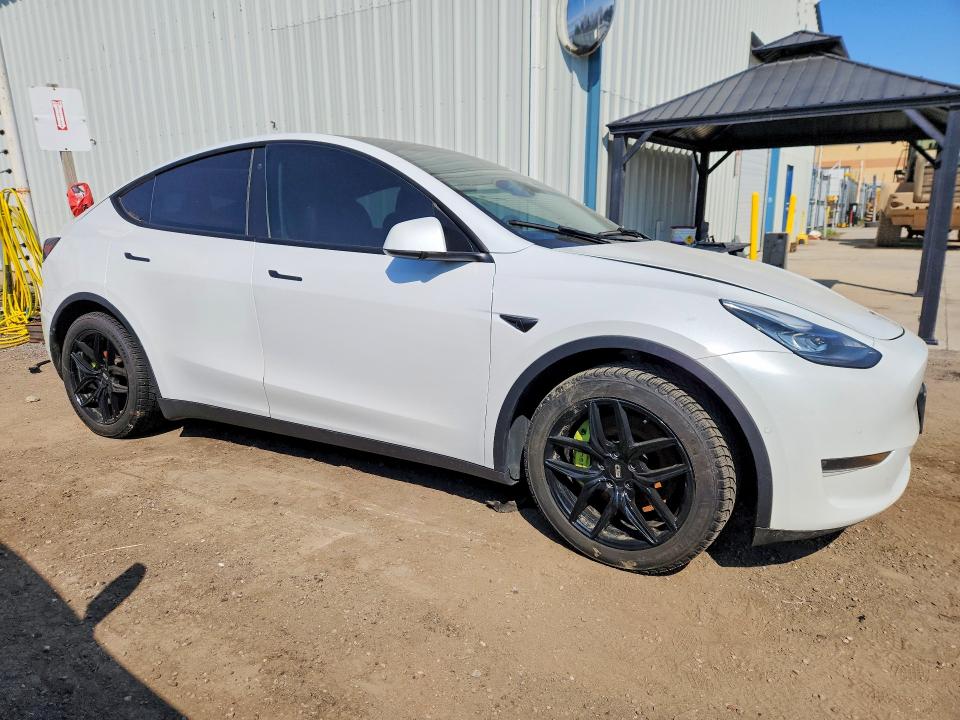 Aukcja sprzedaży 2023 Tesla Model Y, vin: 7SAYGDEE5PF584694, numer aukcji: 50754486