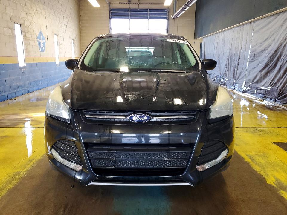 51127256 :رقم المزاد ، 1FMCU0GX7EUD78347 vin ، 2014 Ford Escape مزاد بيع