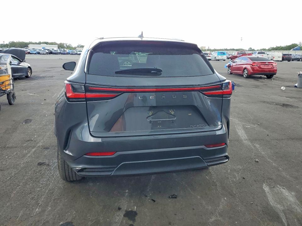 51541856 :رقم المزاد ، 2T2GDCAZ8SC020809 vin ، 2025 Lexus Nx مزاد بيع