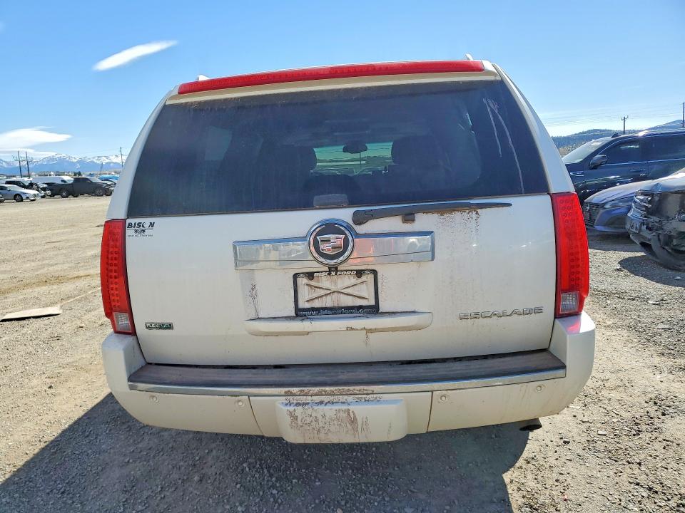 Продаж на аукціоні авто 2011 Cadillac Escalade, vin: 1GYS4HEF1BR100416, номер лоту: 49307276