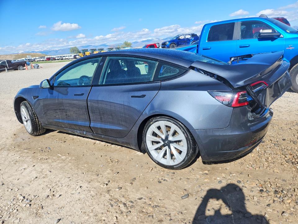 Продаж на аукціоні авто 2023 Tesla Model 3, vin: 5YJ3E1EAXPF454953, номер лоту: 51253896