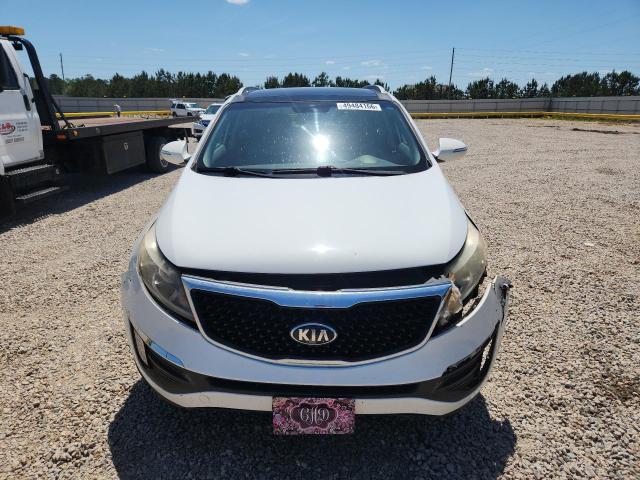 Продаж на аукціоні авто 2014 Kia Sportage, vin: KNDPC3AC1E7635176, номер лоту: 49484166