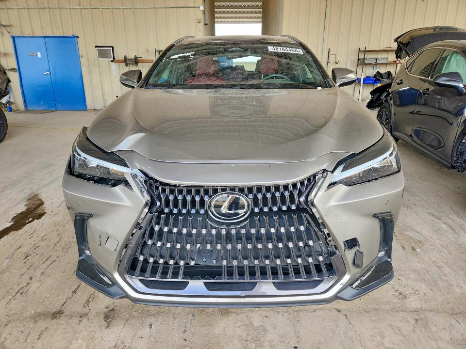 Продажа на аукционе авто 2025 Lexus Nx 250, vin: 2T2ADCAZ1SC018745, номер лота: 48184466