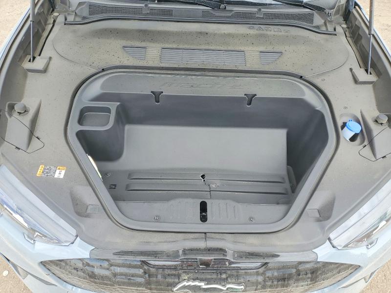 Продажа на аукционе авто 2025 Ford Mustang Mach-e, vin: 3FMTK3R45SMA15166, номер лота: 49769486
