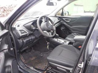 49513336 :رقم المزاد ، JF2SKACC9KH531783 vin ، 2019 Subaru Forester مزاد بيع