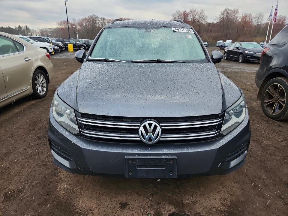 49175906 :رقم المزاد ، WVGBV7AX8GW598677 vin ، 2016 Volkswagen Tiguan مزاد بيع