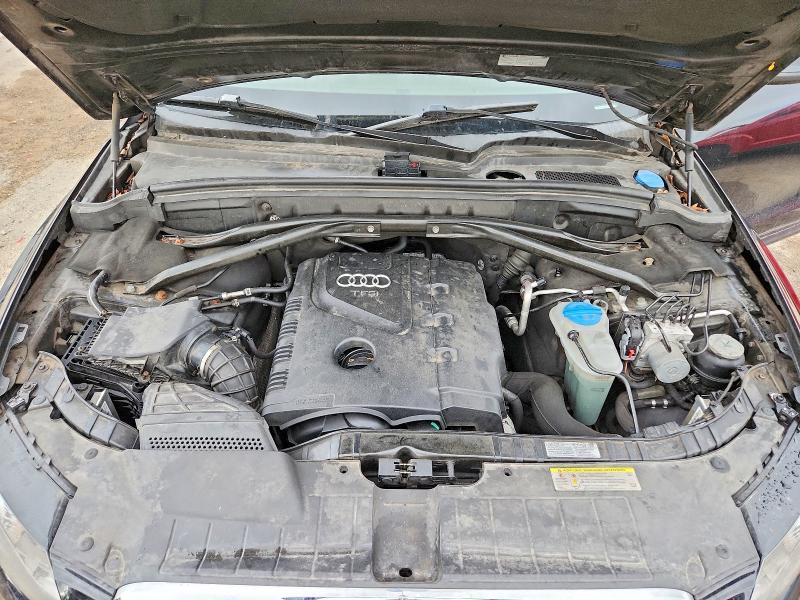 Продаж на аукціоні авто 2011 Audi Q5, vin: WA1LFAFP1BA034834, номер лоту: 50990096