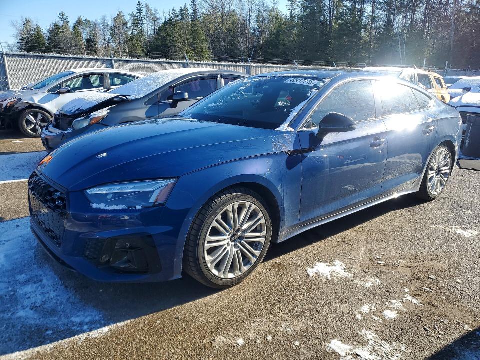 48817716 :رقم المزاد ، WAUB4CF54SA012485 vin ، 2025 Audi S5 مزاد بيع
