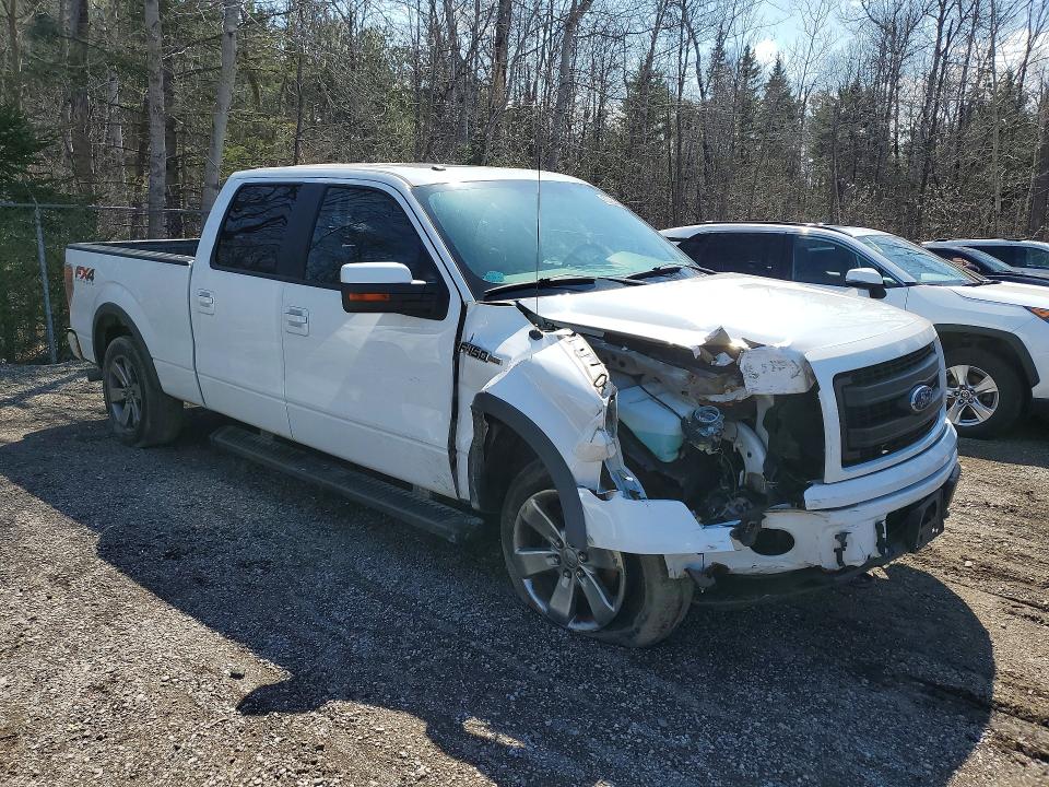 50423846 :رقم المزاد ، 1FTFW1EF8EFB78500 vin ، 2014 Ford F150 مزاد بيع
