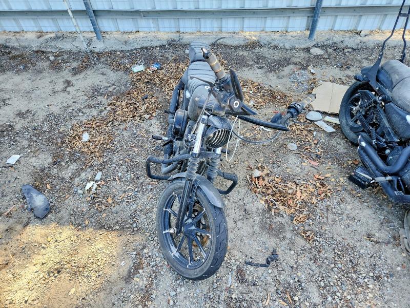 51343566 :رقم المزاد ، 1HD4LE217KC405901 vin ، 2019 Harley Davidson Xl883 مزاد بيع