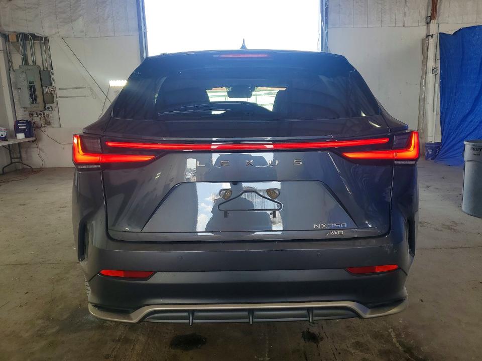 Продаж на аукціоні авто 2022 Lexus Nx, vin: 2T2KGCEZ3NC014822, номер лоту: 51165836