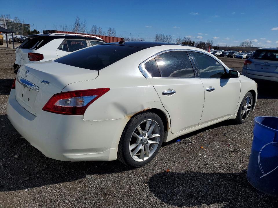 Продаж на аукціоні авто 2011 Nissan Maxima, vin: 1N4AA5AP2BC857454, номер лоту: 50066996