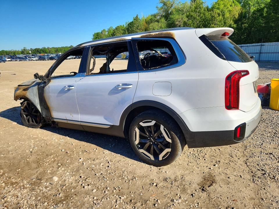 Продажа на аукционе авто 2024 Kia Telluride, vin: 5XYP64GCXRG532383, номер лота: 51768996