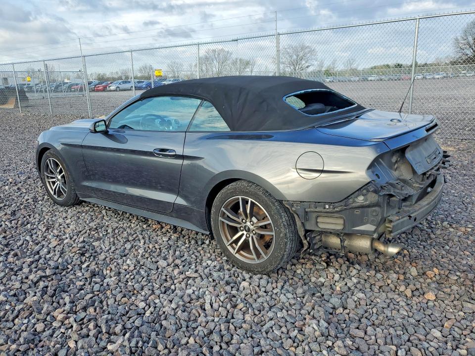 49641226 :رقم المزاد ، 1FATP8UH7H5204256 vin ، 2017 Ford Mustang مزاد بيع