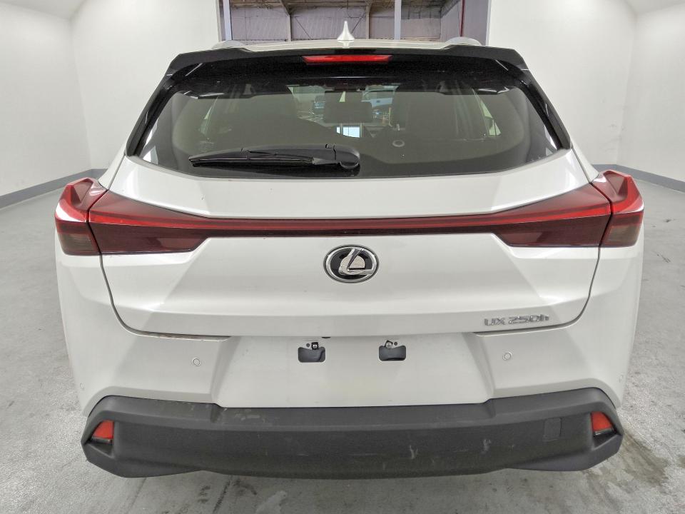 Продажа на аукционе авто 2024 Lexus Ux 250h, vin: JTHX6JBH5R2176550, номер лота: 49425206