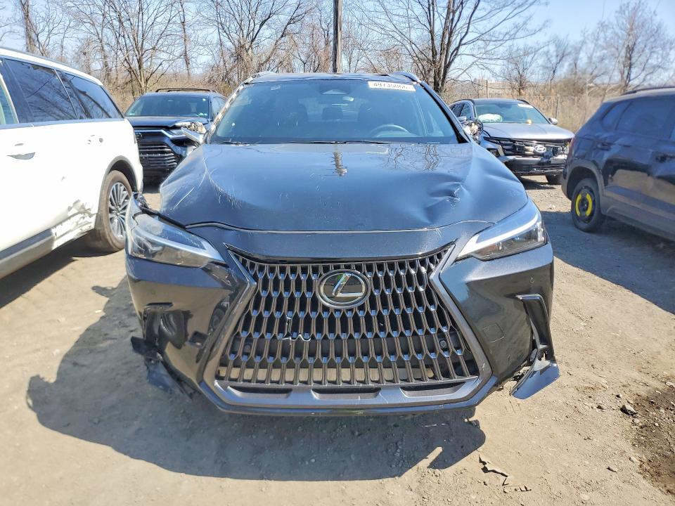 Продаж на аукціоні авто 2025 Lexus Nx 350, vin: 2T2AGCEZ0SC090005, номер лоту: 49735066