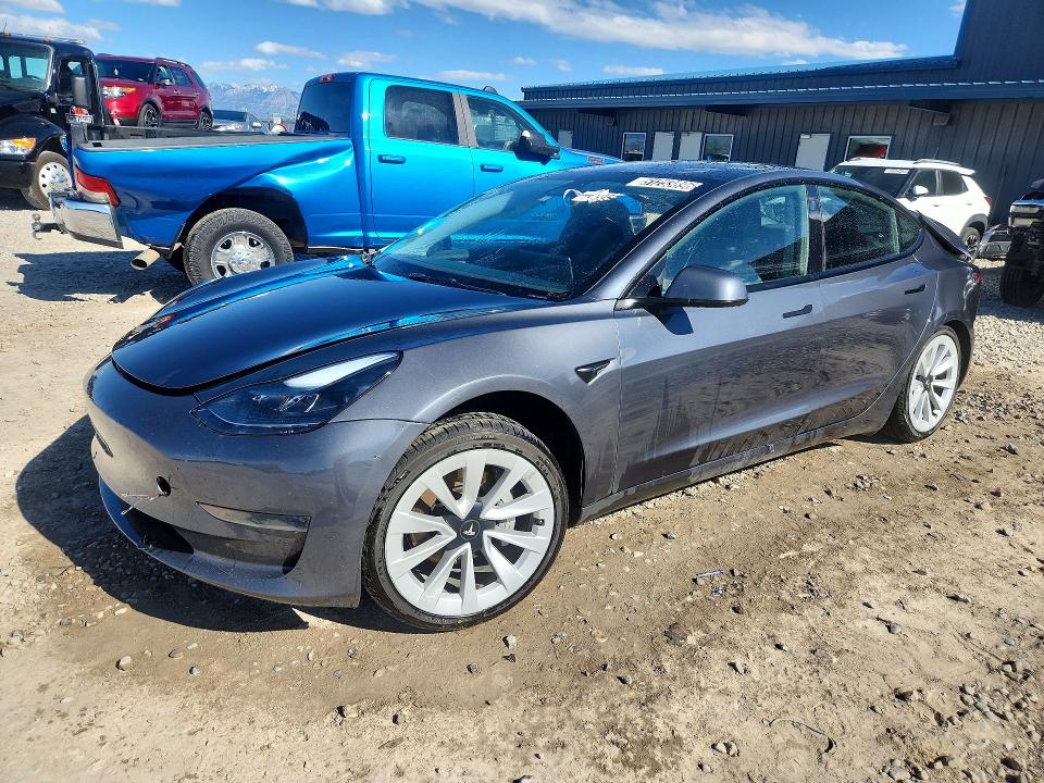 Продаж на аукціоні авто 2023 Tesla Model 3, vin: 5YJ3E1EAXPF454953, номер лоту: 51253896